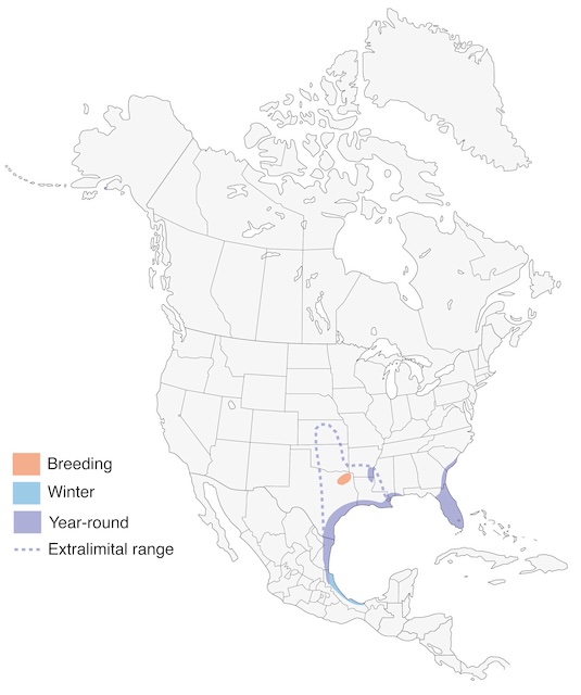 mottled-duck-migration-map.jpg